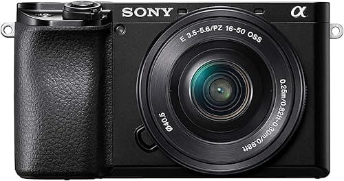 Sony Alpha 6100 | APS-C Spiegellose Kamera mit Sony 16-50mm f/3.5-5.6 Power-Zoom-Objektiv ( Schneller 0,02s AF,AF mit Augenerkennung für Mensch und Tier, 4K-Filmaufnahmen und neigbares Display)
